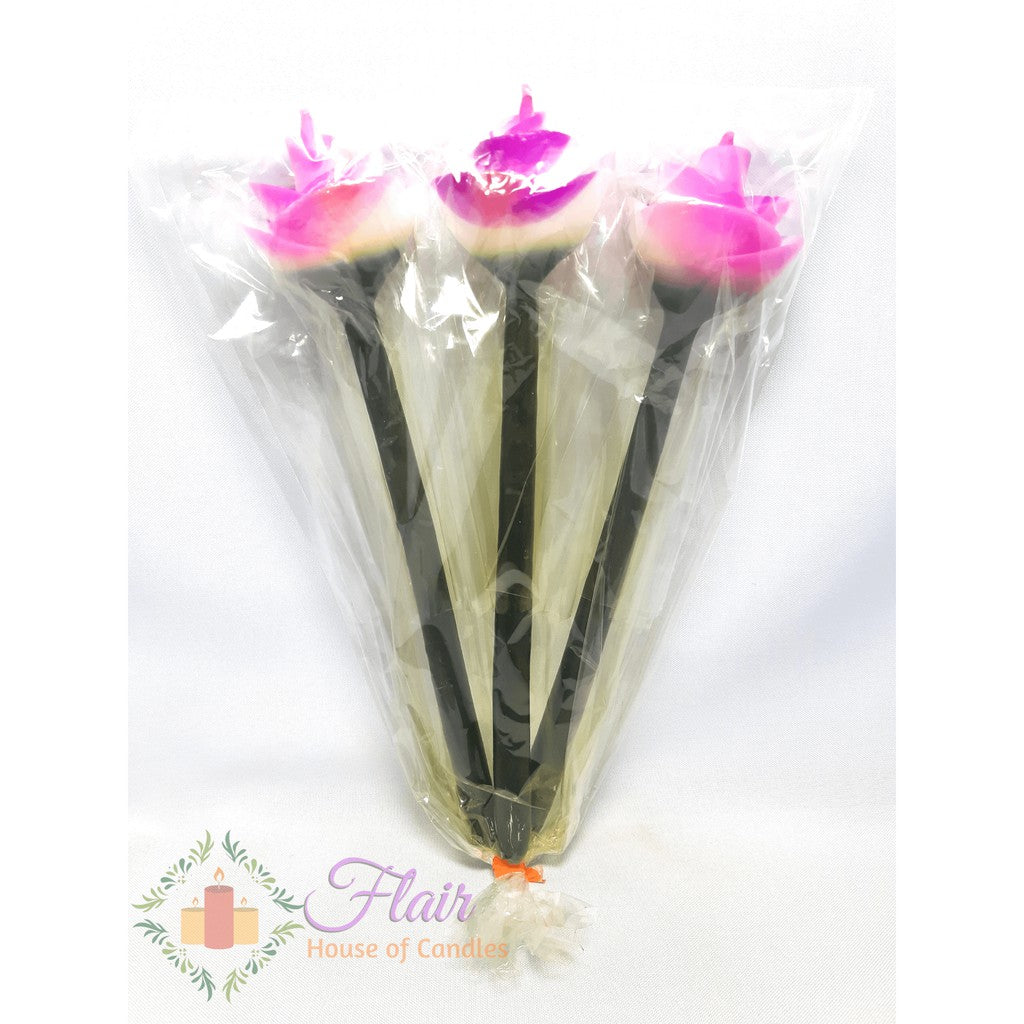 Rose Citronella Scented Colored Candle | 3pcs Pack 28cm Tall